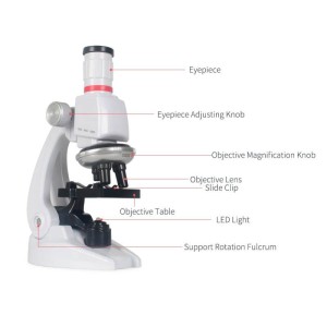 میکروسکوپ مدل educational microscope