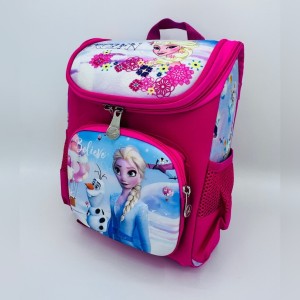 کوله پشتی در طرح های متنوع ( کد: 5009 )