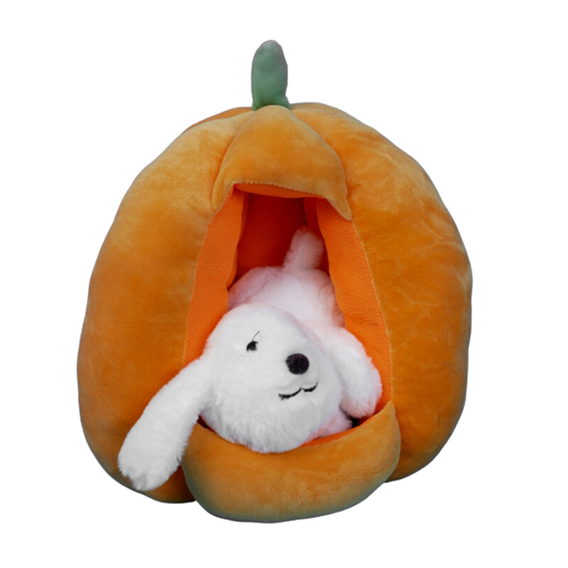 عروسک طرح سگ داخل کدو کد Dog design doll inside the pumpkin 221