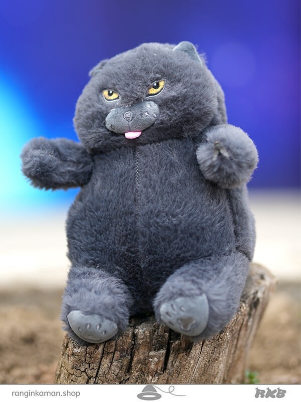 عروسک گربه سوئیسی کوچک کد 203 Little Swiss Cat doll