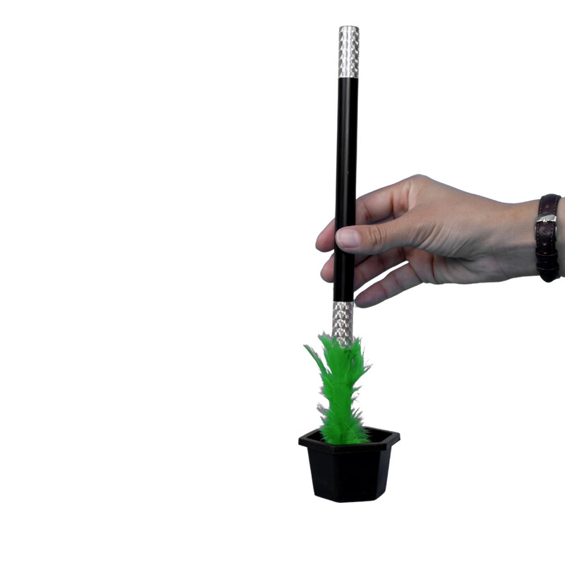 شعبده گل و گلدانThe magic of flowers and vases