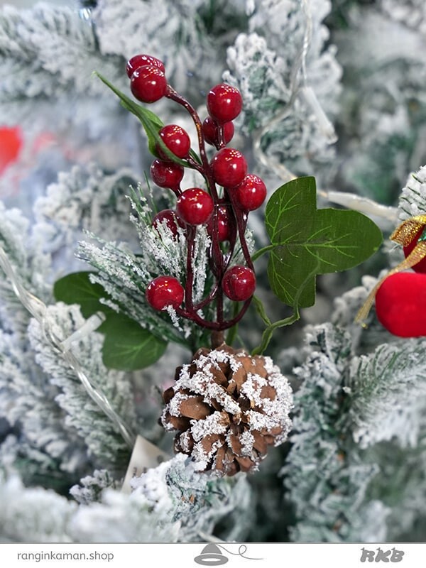 شاخه کاج برفی Snowy pine branch