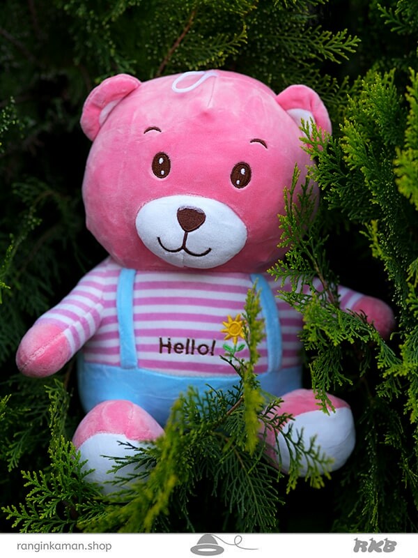 عروسک خرس آخ مخ Akh Mukh bear doll