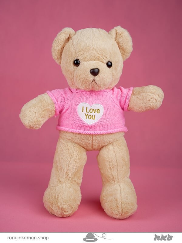 عروسک خرس ایسنا سایز1 Isna bear doll size