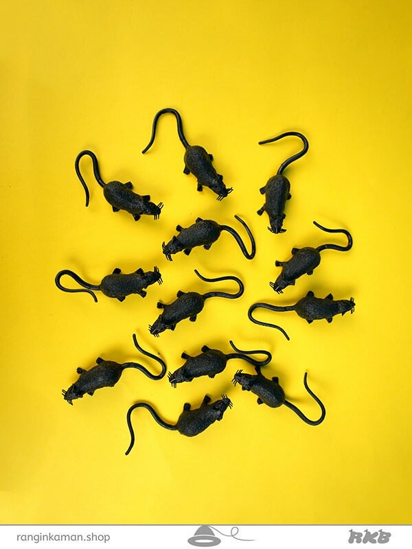 موش پلاستیکی Plastic mouse