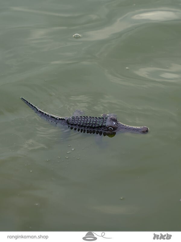 تمساح کنترلی  Crocodile control