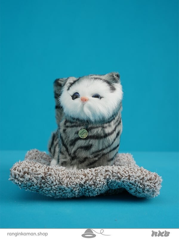 عروسک پرشین چشم باز سایز 2 بزرگ Persian doll with big eyes, size 2