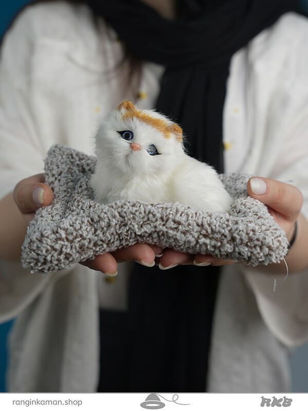 عروسک پرشین چشم باز سایز 1 کوچک  Persian doll with open eyes, size 1 small