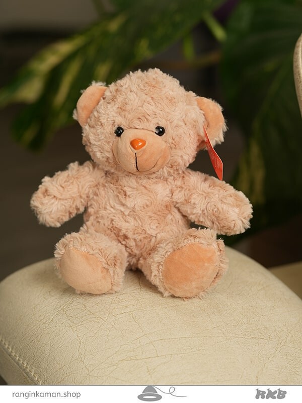 عروسک خرس رنگی رنگی Colorful teddy bear