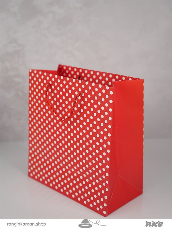 بگ خالخالی قرمز Red spotted bag