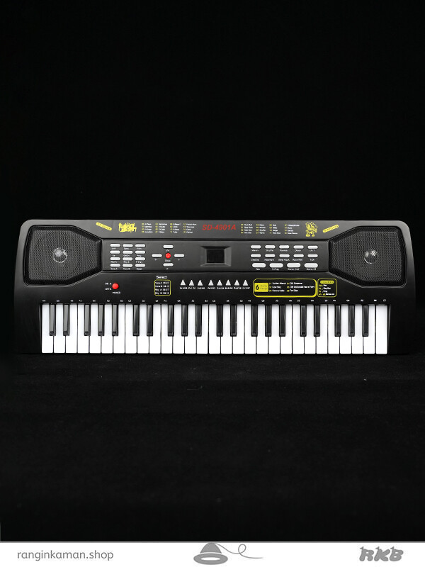 ارگ میکروفن دار org with microphone