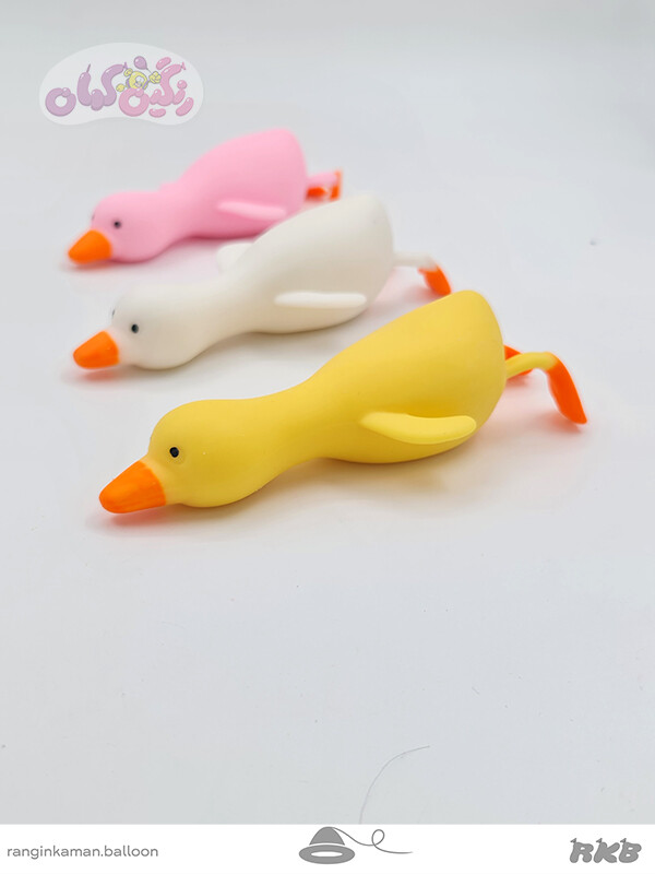 فیجت اردک شنی