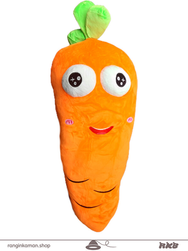 هویج بالشتی نانو