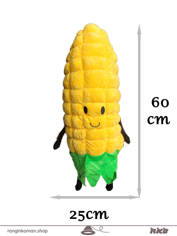 ذرت بالشتی نانو