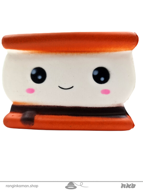 اسکوییشی بیسکوییت