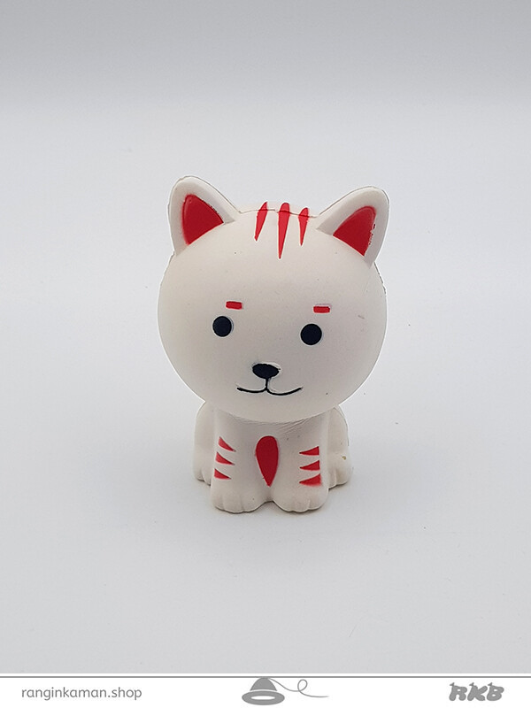 اسکوییشی کد 205