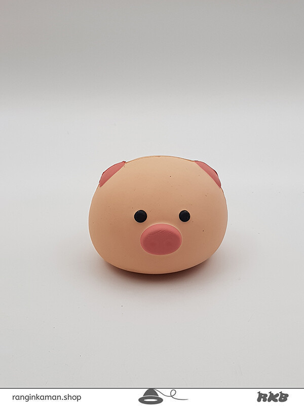 اسکوییشی خوک (کد 204)