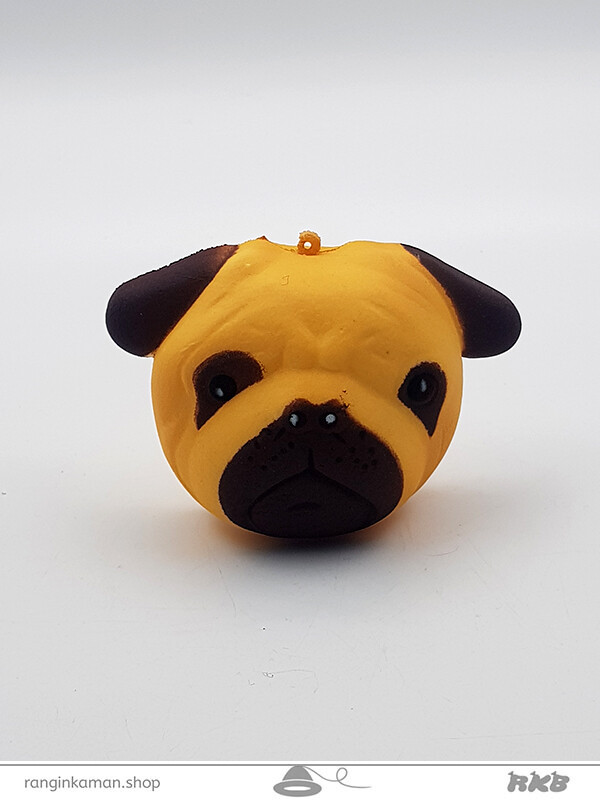 اسکویشی کد 202