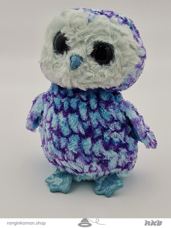 حیوانات چشم تیله ای جغد