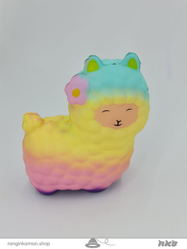 اسکویشی کد 31