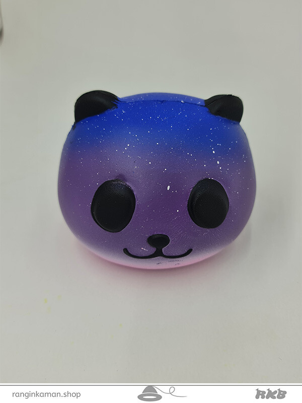 اسکویشی کد 19