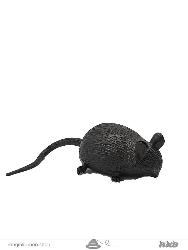 موش له شو ابکی