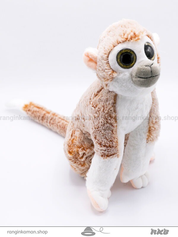 میمون ماداگاسکار