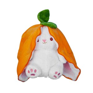 Surprise rabbit doll 3