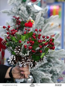 شاخه کاج برفی Snowy pine branch