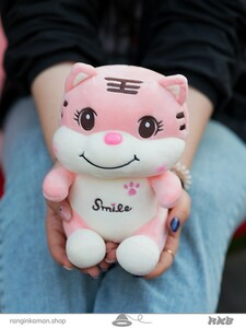 عروسک تایگر اسمایل smile tiger doll