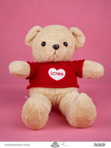 عروسک خرس ایسنا سایز1 Isna bear doll size