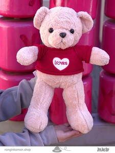 عروسک خرس ایسنا سایز1 Isna bear doll size