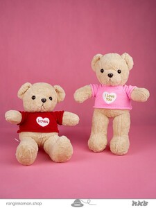عروسک خرس ایسنا سایز1 Isna bear doll size