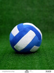 volleyball ball (3)