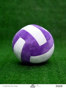 توپ والیبال volleyball ball