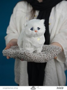 عروسک پرشین چشم باز سایز 2 بزرگ Persian doll with big eyes, size 2