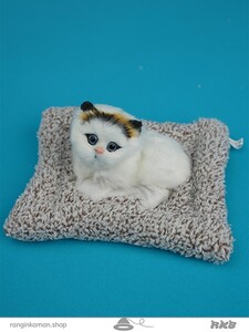 عروسک پرشین چشم باز موزیکال سایز 1 کوچک  Persian open-eyed musical doll, size 1 small