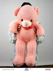 عروسک خرس کوچک Little teddy bear