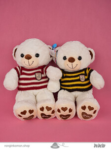 عروسک خرس عاشق 50 سانتی teddy bear in love
