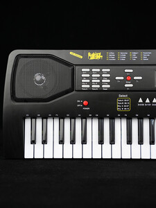 ارگ میکروفن دار org with microphone