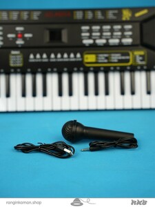 ارگ میکروفن دار org with microphone