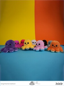 جاسوییچی بچه اختاپوس مودی Jasuichi Octopus
