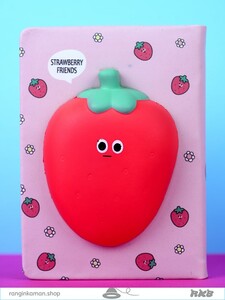 دفتر اسکوییشی Notebook