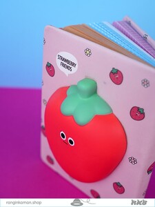 دفتر اسکوییشی Notebook