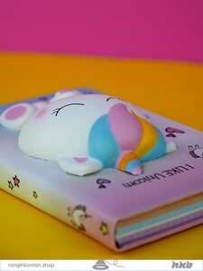 دفتر اسکوییشی Notebook