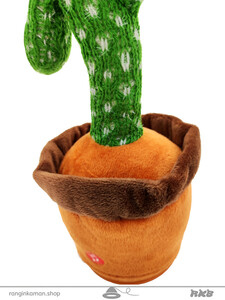 cactuseraghas-3