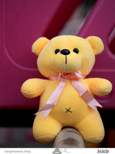 عروسک خرس رنگالو Colorful teddy bear