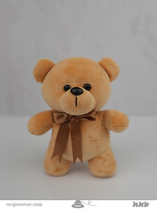 عروسک خرس رنگالو Colorful teddy bear