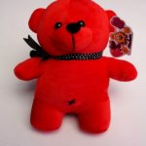 عروسک خرس رنگالو Colorful teddy bear