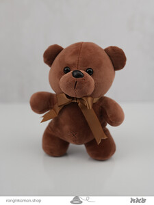 عروسک خرس رنگالو Colorful teddy bear